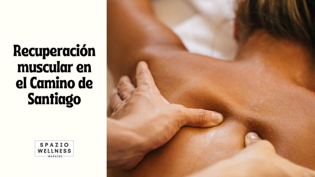 Recuperación muscular en el Camino de Santiago